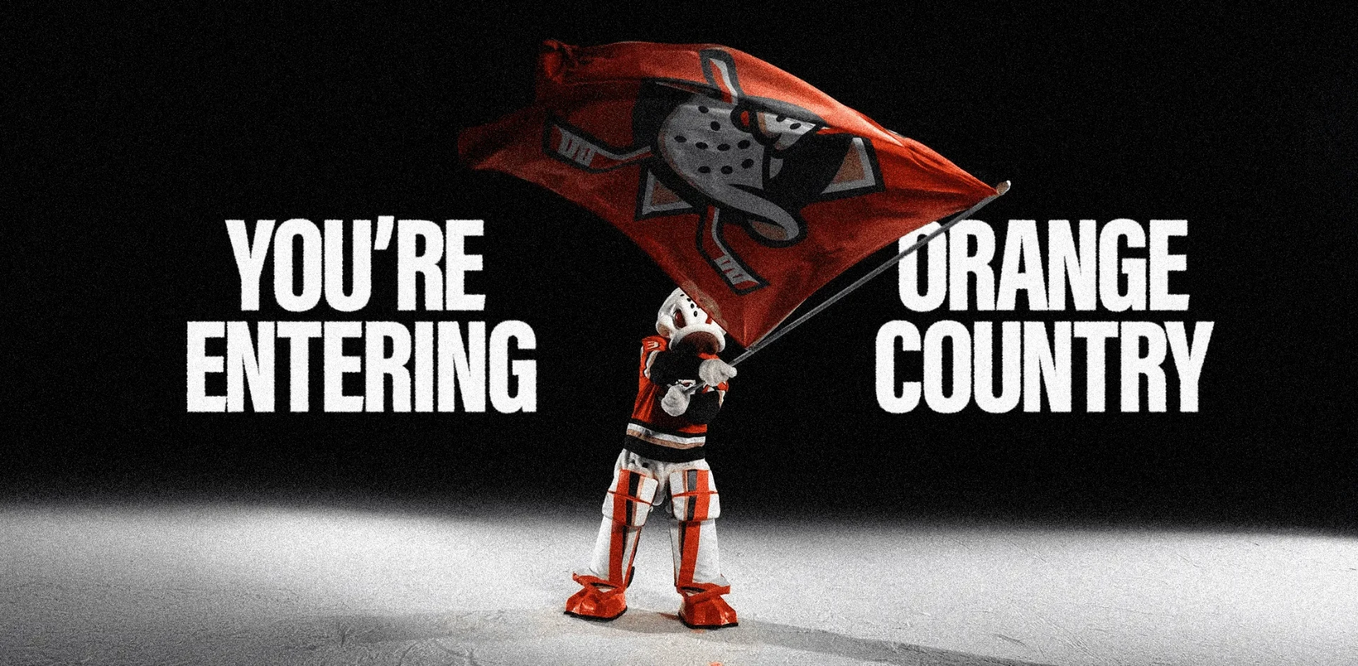 Anaheim Ducks Rebranding — Orange County is more than just sandy beaches and sunny skies.